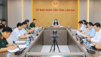Lào Cai tham dự Hội nghị sơ kết thực hiện nhiệm vụ tìm kiếm, quy tập, xác định danh tính hài cốt liệt sĩ