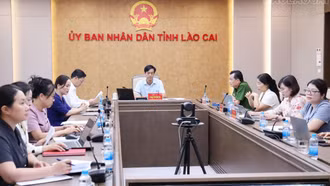 Lào Cai dự Hội nghị toàn quốc về bảo vệ trẻ em