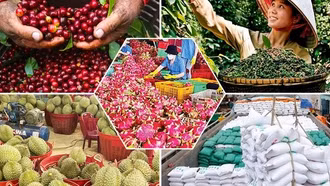Tiêu chí đánh giá, phân hạng sản phẩm OCOP
