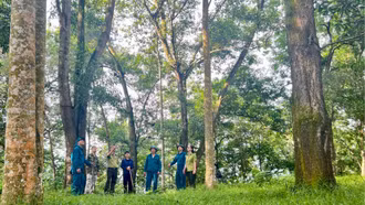 Những người giữ màu xanh đại ngàn