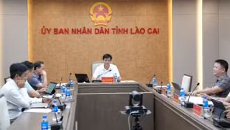 Lào Cai tham dự hội nghị trực tuyến về rà soát, tháo gỡ vướng mắc các công trình trọng điểm