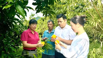 Nhiều kết quả trong giảm nghèo tại phường Trung Tâm