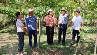 Ban Tuyên giáo và Dân vận Tỉnh ủy khảo sát mô hình "Dân vận khéo" tại xã Lục Yên