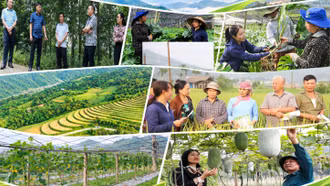 Bát Xát đẩy mạnh phát triển kinh tế gắn với giảm nghèo bền vững