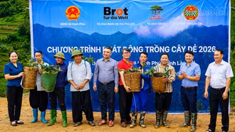 Xã Hạnh Phúc ra quân trồng cây theo mô hình nông - lâm kết hợp
