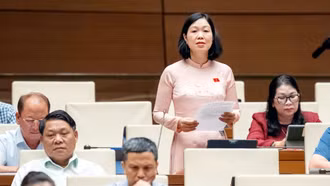 Đại biểu Nguyễn Thị Lan Anh tham gia thảo luận về Luật Nhà giáo