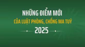 Những điểm mới của Luật Phòng, chống ma túy 2025 (sửa đổi)