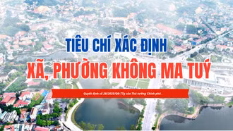 Tiêu chí xác định xã, phường không ma túy