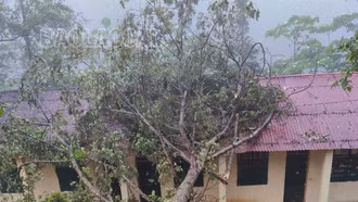Mưa dông đầu mùa làm 12 nhà dân bị tốc mái