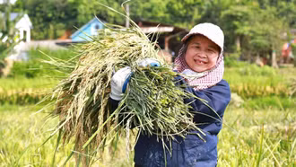 Nông nghiệp xanh góp phần nâng cao giá trị nông sản, bảo vệ tài nguyên, môi trường.