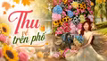 Thu về trên phố