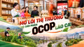 Mở lối thị trường cho sản phẩm OCOP Lào Cai