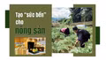 Tạo “sức bền”cho nông sản