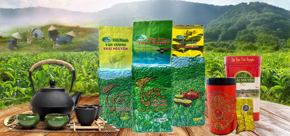 Chè tân cương thái nguyên