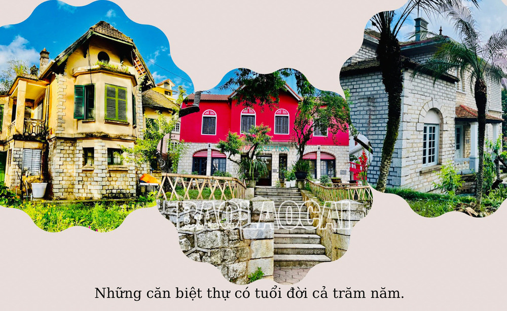 Khám Phá Sự Thú Vị Trong Kèo Nhà Cái Avinaa - Cánh Cửa Dẫn Đến Thành Công Trong Cá Cược