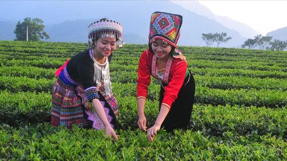 Chủ động, linh hoạt đưa nghị quyết của Đảng vào cuộc sống