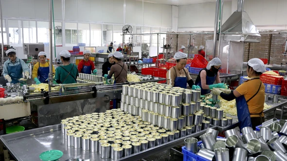 Cận cảnh dây chuyền chế biến dứa ở Bản Lầu