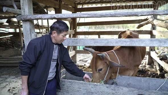 Mùa A Của – cánh chim đầu đàn thôn Làng Sang