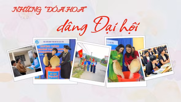 Những “đóa hoa” dâng Đại hội 