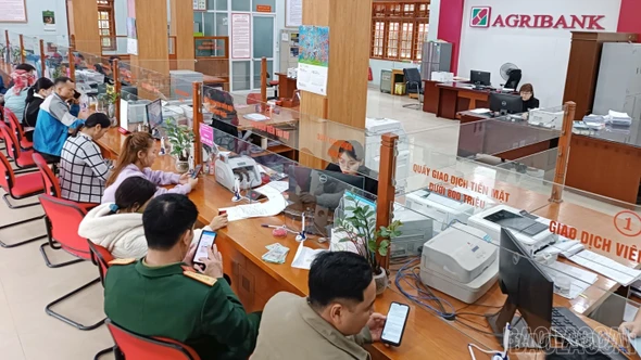 Khẳng định vai trò chủ lực đầu tư tam nông