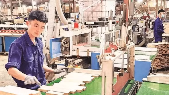 Lào Cai đẩy mạnh công tác phát triển Đảng trong doanh nghiệp ngoài khu vực nhà nước