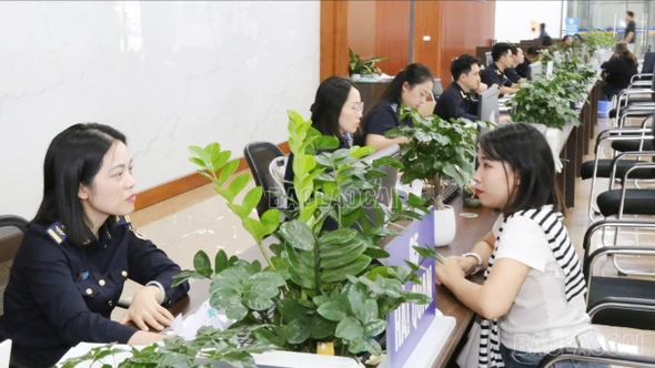 Lào Cai thu ngân sách nhà nước vượt 11% dự toán Trung ương giao