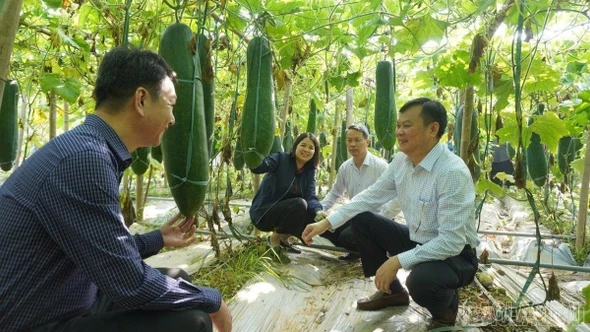 Động lực cho đổi mới sáng tạo