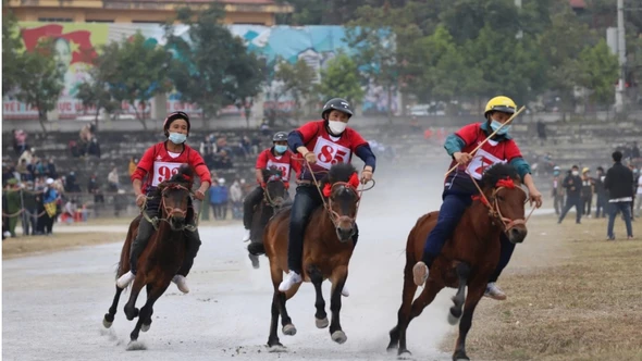 Đến Bắc Hà nghe chuyện vó ngựa trên cao nguyên trắng