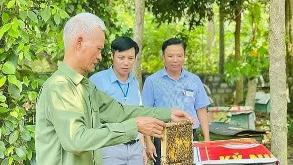 Phát triển 'Kinh tế bạc' tại Việt Nam: Biến thách thức già hóa thành động lực tăng trưởng