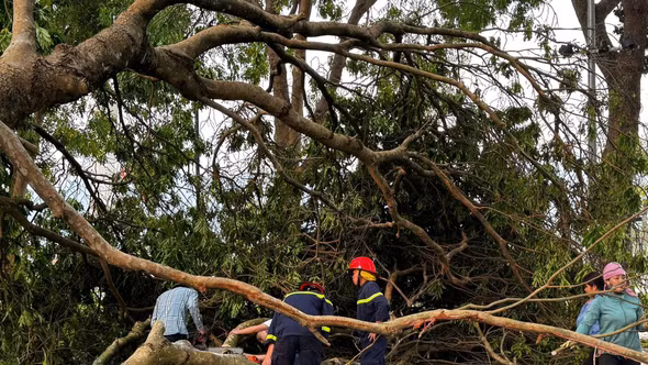 Chủ tịch UBND tỉnh chỉ đạo khẩn trương khắc phục hậu quả thiệt hại do mưa kèm theo dông lốc