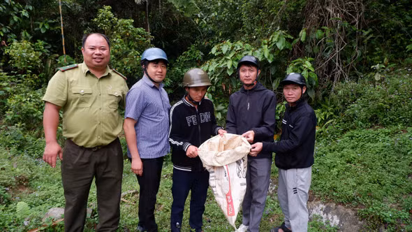 Xã Bản Liền: một cá thể cu li được thả về tự nhiên