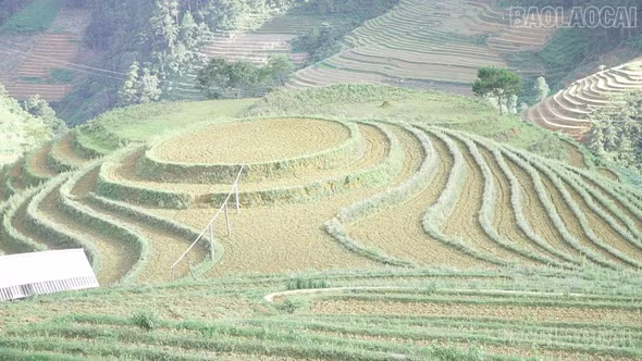 Danh thắng quốc gia Ruộng bậc thang khát nước giữa mùa nước đổ