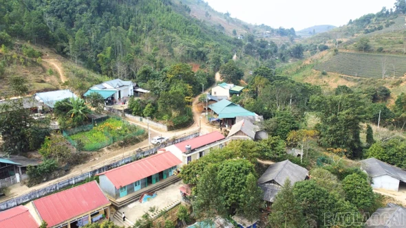 Suối Xuân bừng sáng xuân này