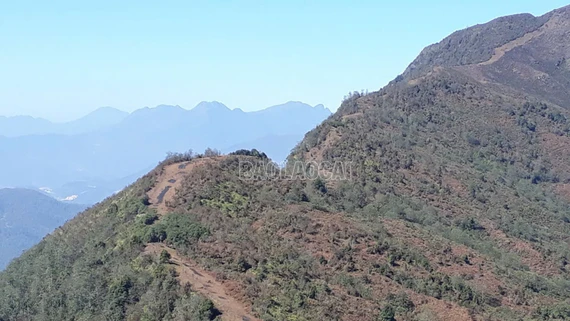 Làm 48,6 km đường băng trắng phòng chống cháy rừng
