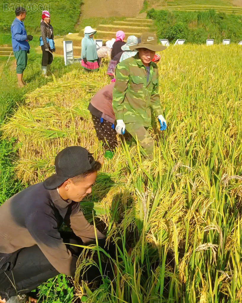 baolaocai-tl_nguoi-dan-day-manh-san-xuat-3871.jpg
