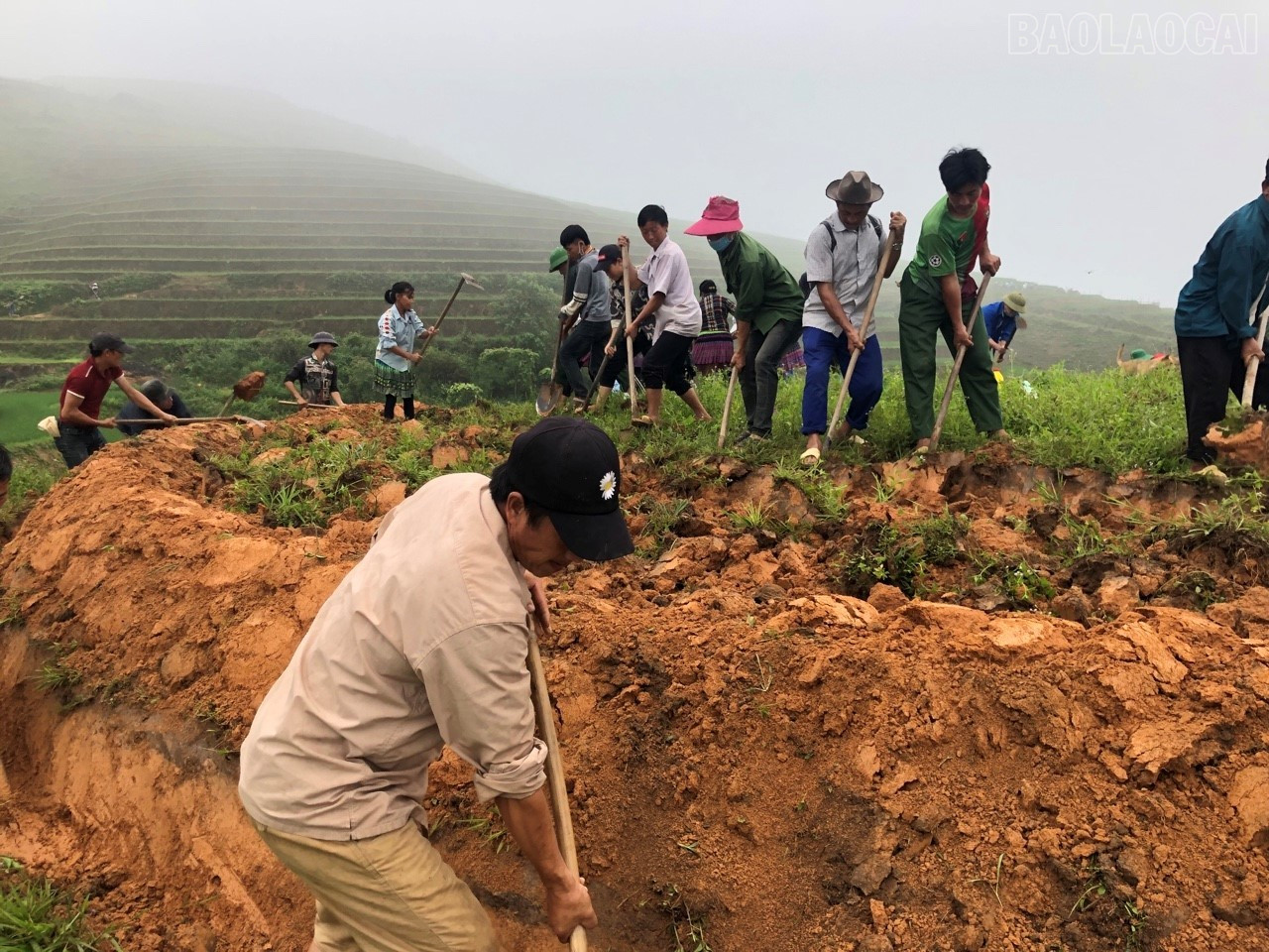 មនុស្សយ៉ាងសកម្មទាមទារយកមកវិញ និងពង្រីកផ្ទៃដីរាបស្មើ។ baolaocai-tr_lam-ruong.jpg