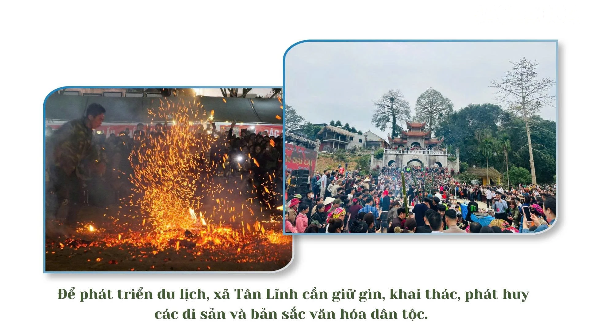 baolaocai-tr_22.jpg