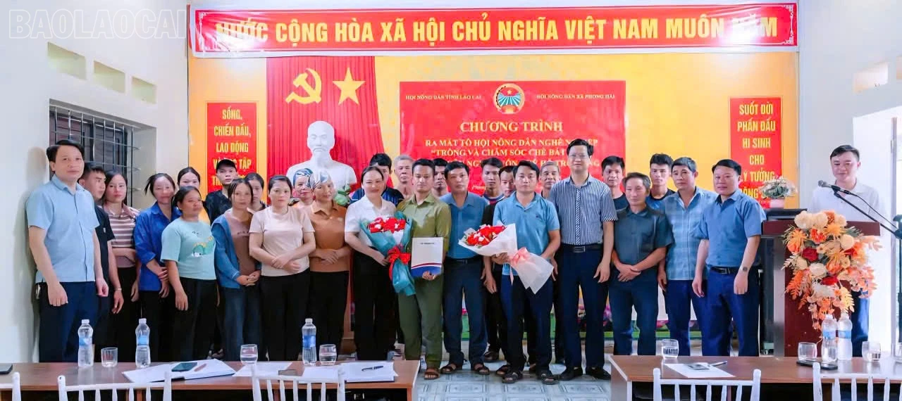 baolaocai-tl_ra-mat.jpg