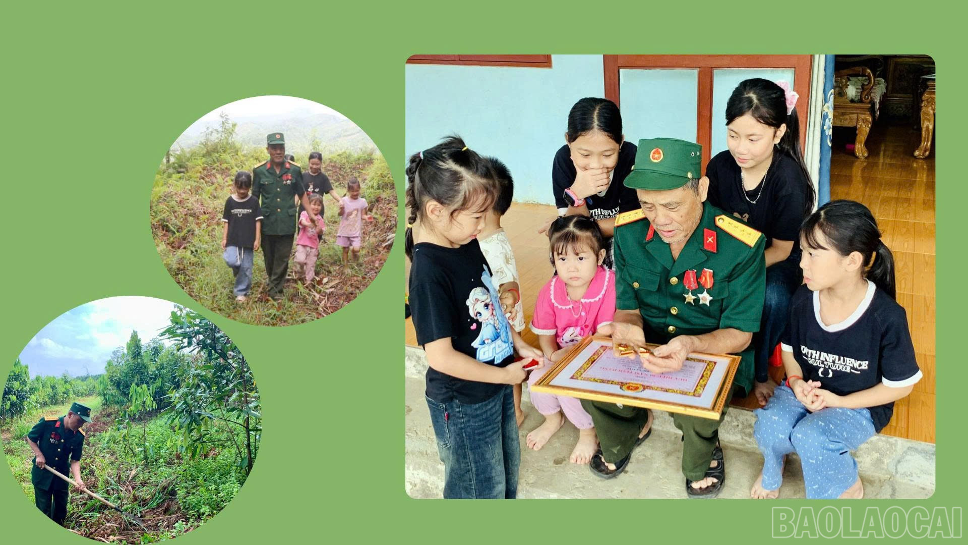 baolaocai-br_anh-3.jpg