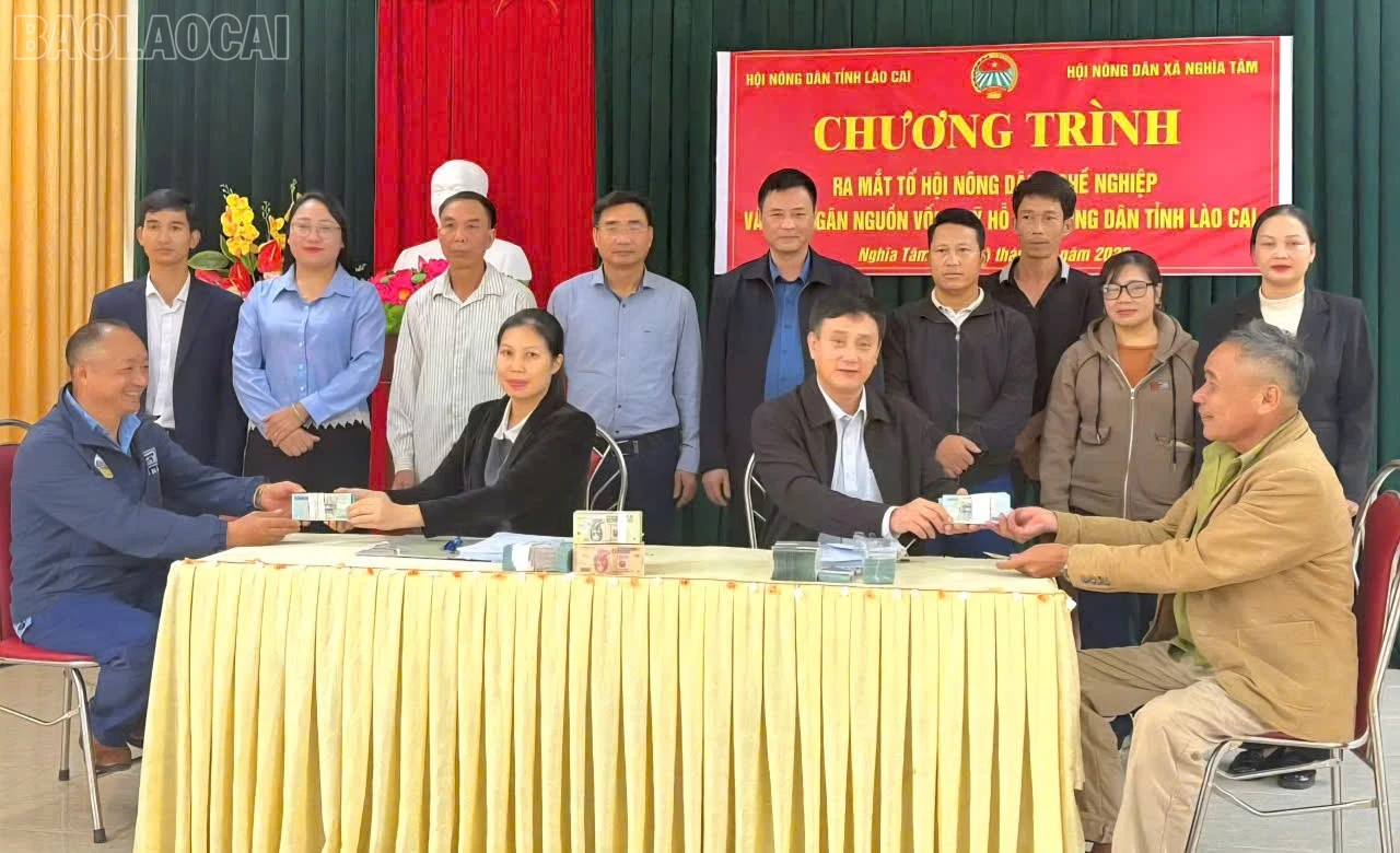 baolaocai-tl_nghia-tam.jpg