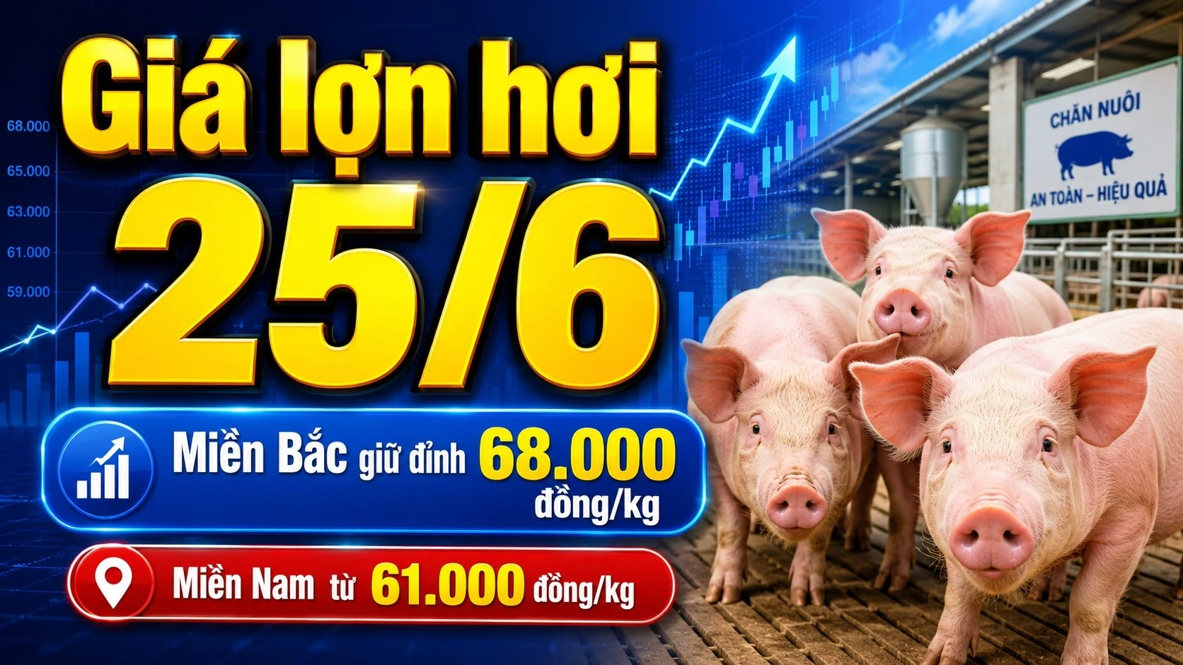 gia-lon-hoi-hom-nay-25-6-2026.jpg
