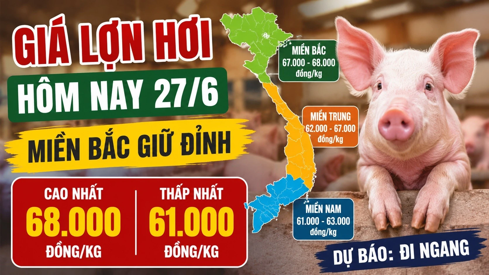 gia-heo-hoi-hom-nay-27-6-2026.jpg