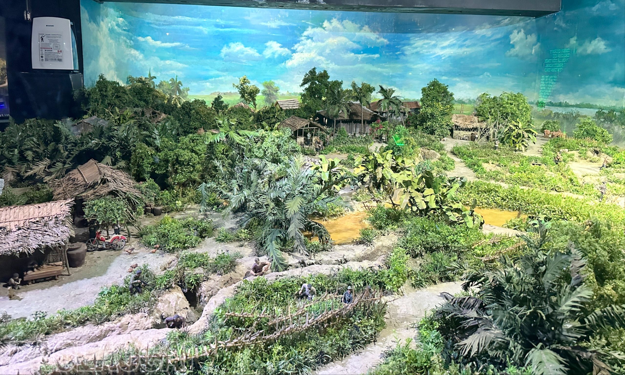 a3.jpg