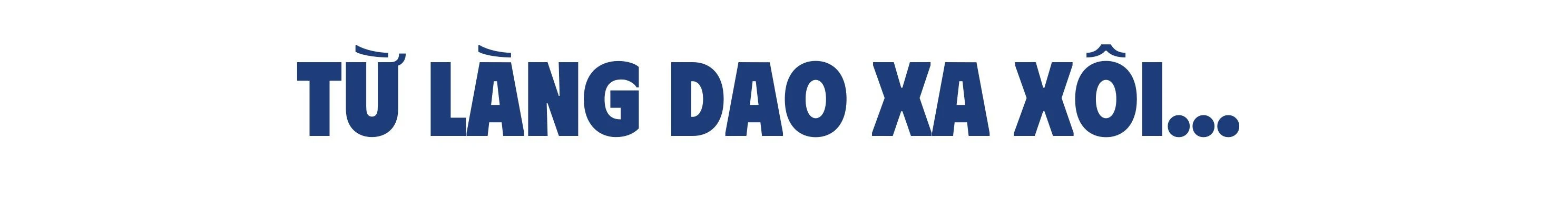 b1.jpg