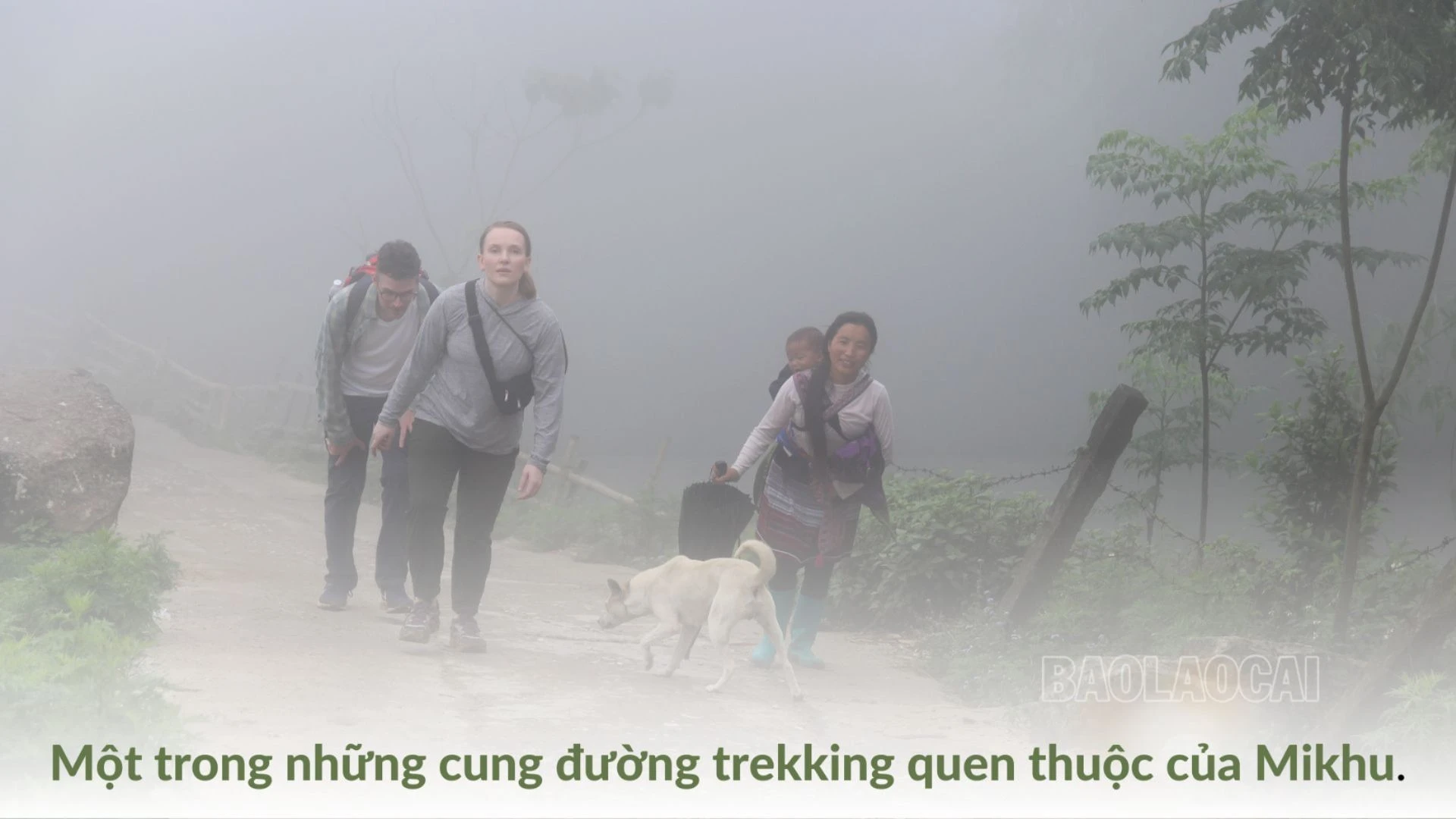 Những bước chân (3).jpg