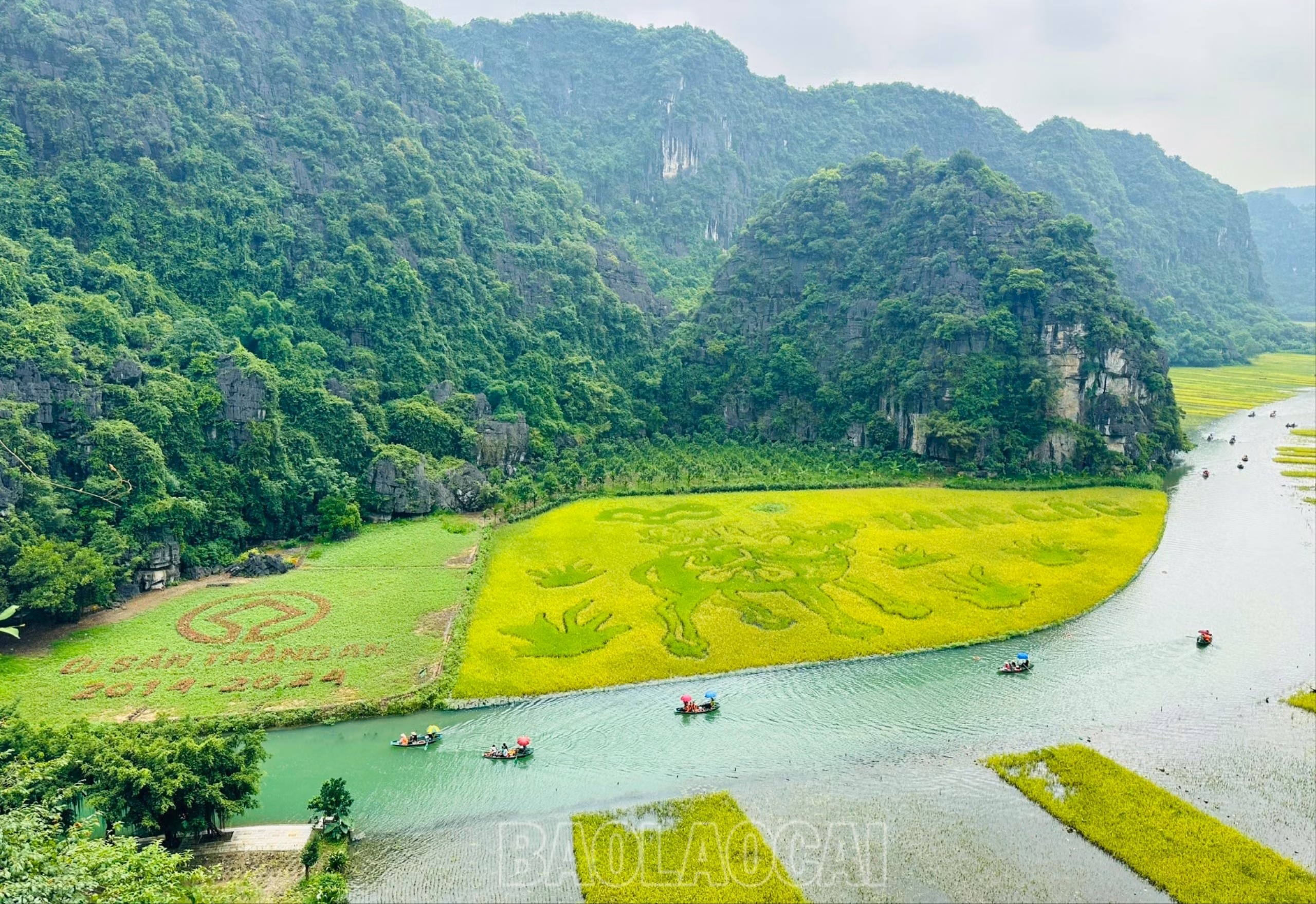 Trong những cánh đồng lúa Tam Cốc, người dân nơi đây đã dành ra chục nghìn mét vuông ruộng để cấy lúa tạo hình thành bức tranh lúa khổng lồ theo tích tranh dân gian. Năm trước, tôi nhớ là cánh đồng lúa tạo hình bức “Lý ngư vọng nguyệt” và năm nay là bức “Mục đồng thổi sáo”… Du khách đến đây, ai cũng muốn được leo qua Khe Giời, ngắm cảnh đồng lúa chín từ trên cao và ghi lại những khoảnh khắc mùa vàng tuyệt đẹp của cánh đồng đặc biệt này.