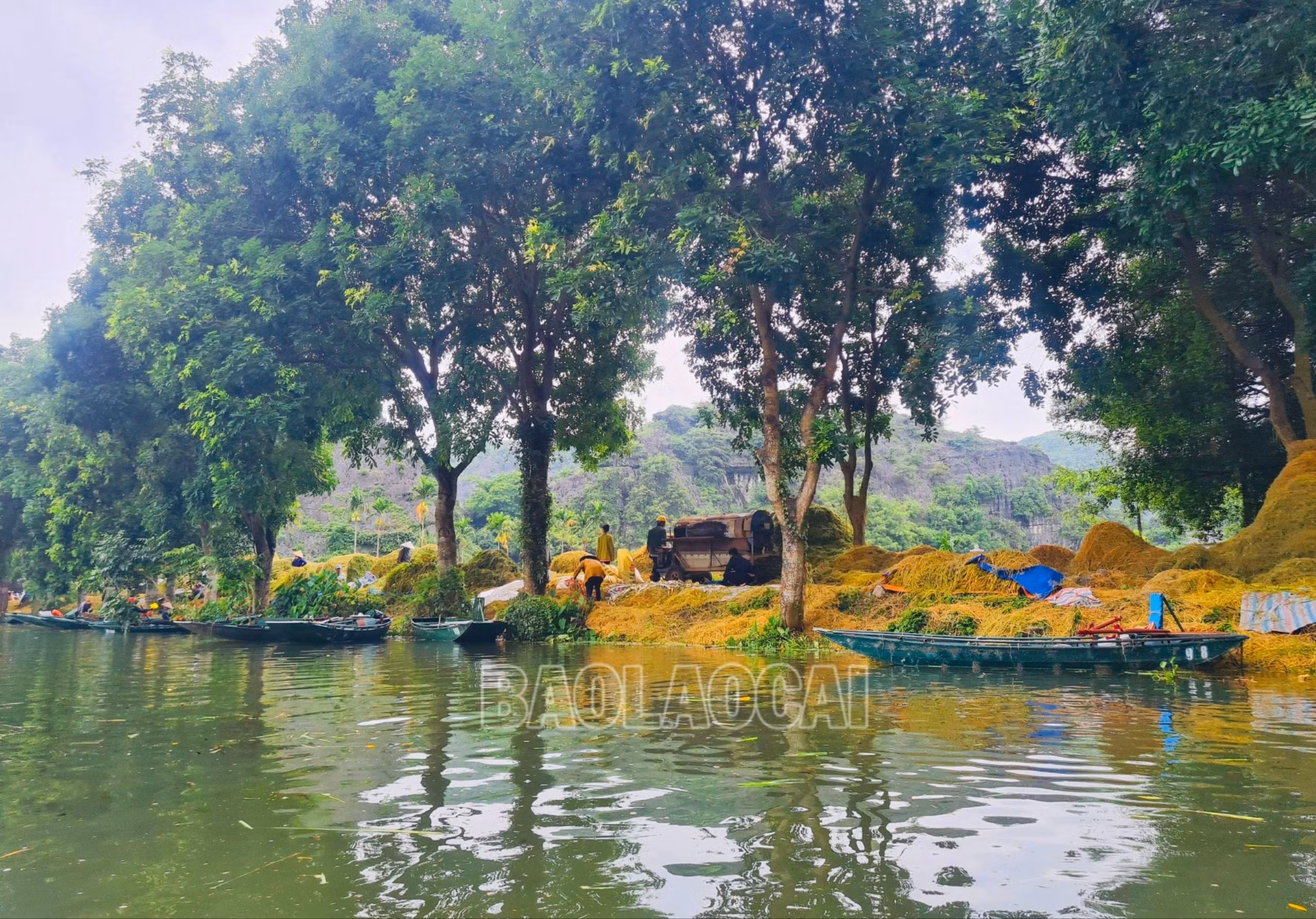 Bến thuyền - nơi tập kết lúa.