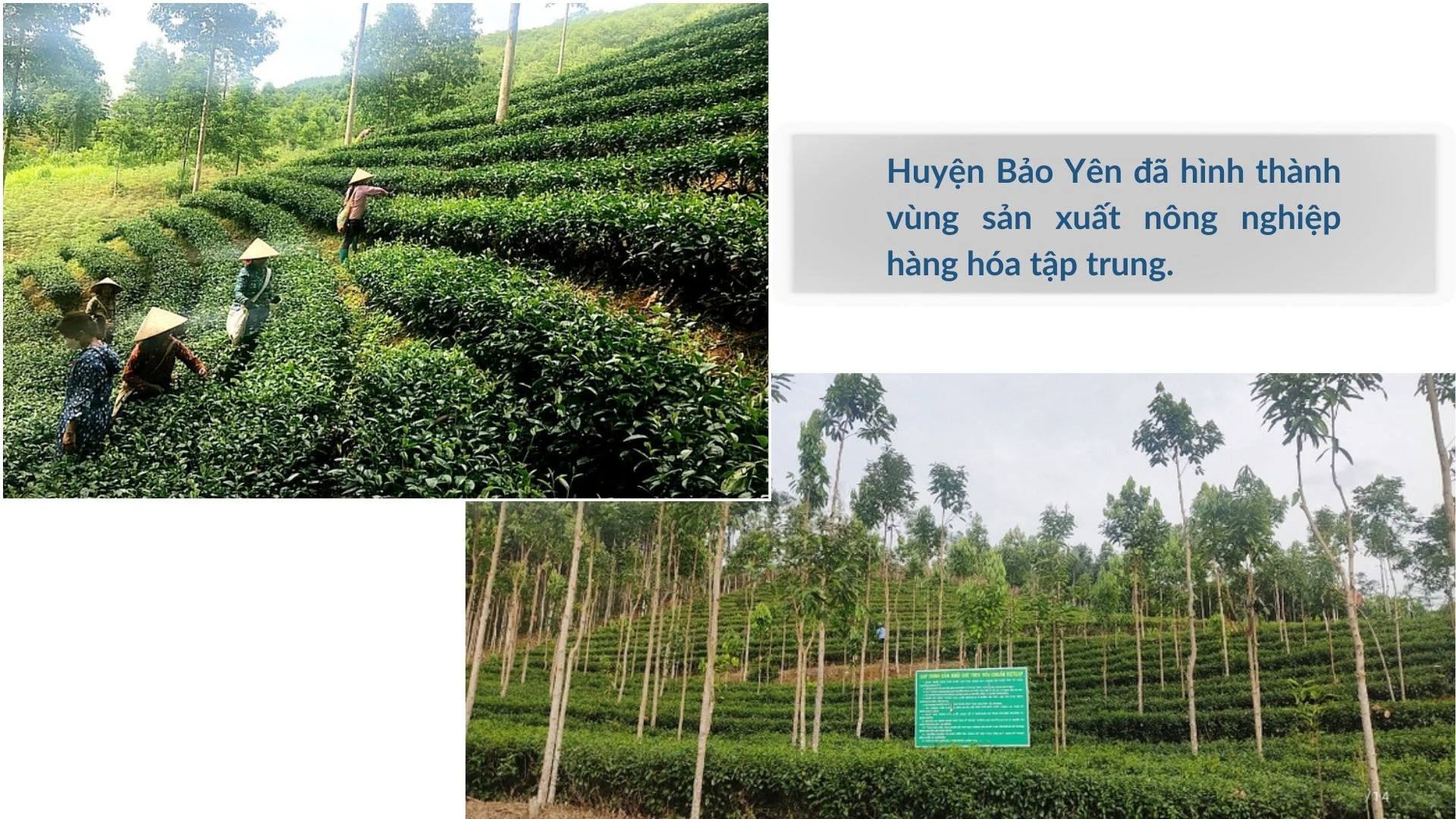 Phát huy hào khí năm xưa.zip - 6.jpeg