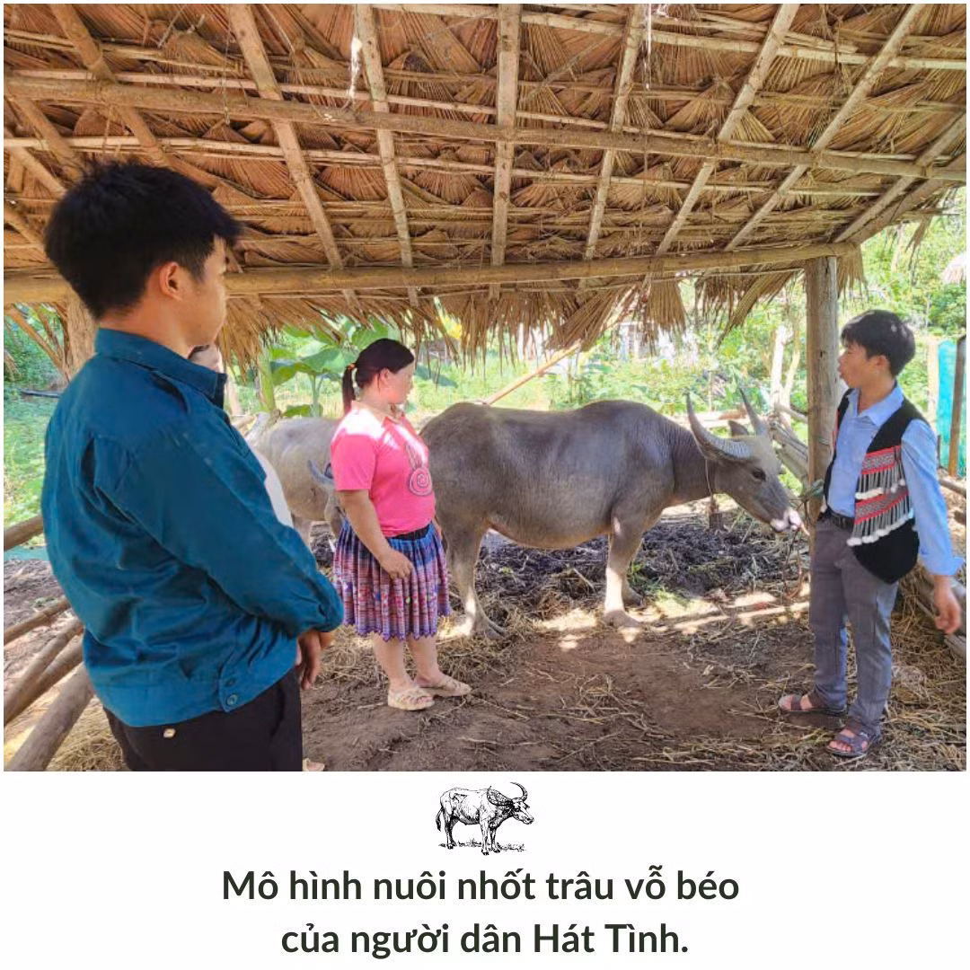 Đổi thay ở Hát Tình.zip - 6.jpeg