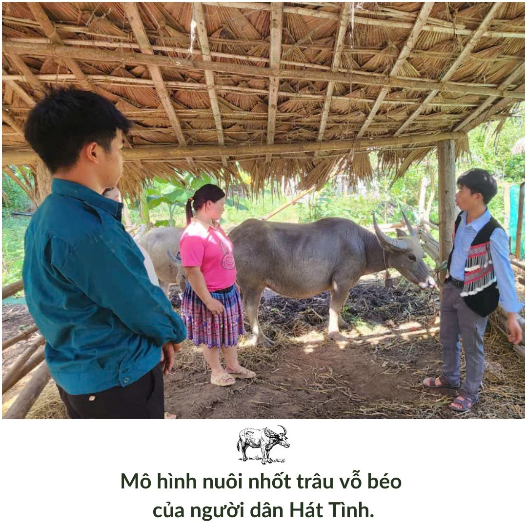 Đổi thay ở Hát Tình.zip - 6.jpeg